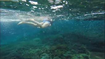 水岛的在线视频,揭秘神秘岛屿的奇幻之旅