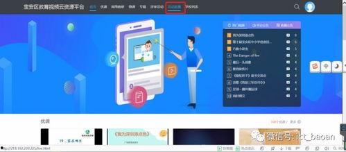 大森林导航资源在线视频,探索自然奥秘的视觉之旅