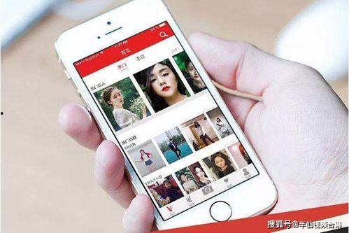 午夜短视频手机在线视频,手机在线视频的潮流盛宴