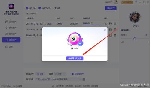 在线视频声音变声器