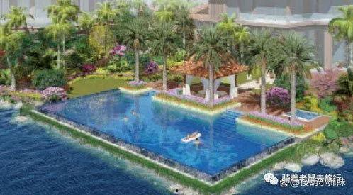 度假圣地在线视频,跟随在线视频畅游梦幻海岸线